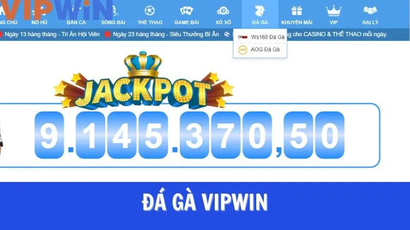 Tổng quan về cá cược đá gà VIPWIN