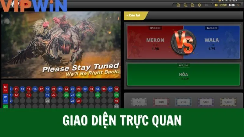 Đá gà VIPWIN sẽ còn cập nhật các hình thức cá cược mới