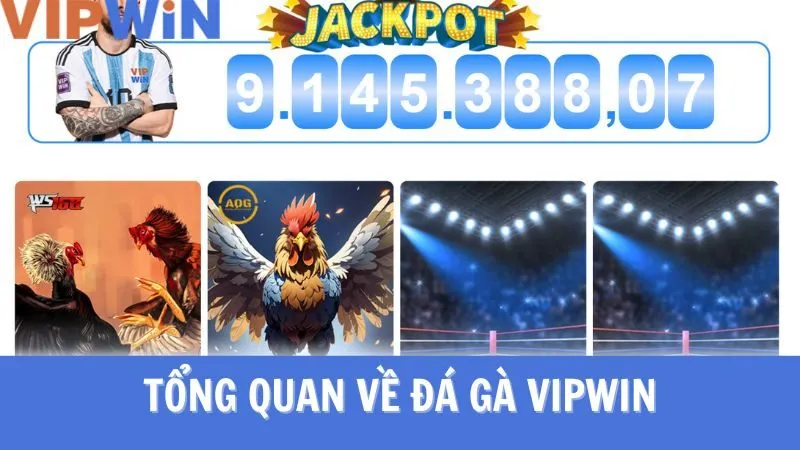 Tải app đá gà VIPWIN để trải nghiệm cá cược tối ưu nhất